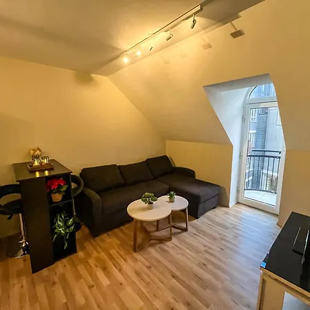 Parken - Downtown With 2br, Balcony, Private Parking And Elevator Apartment