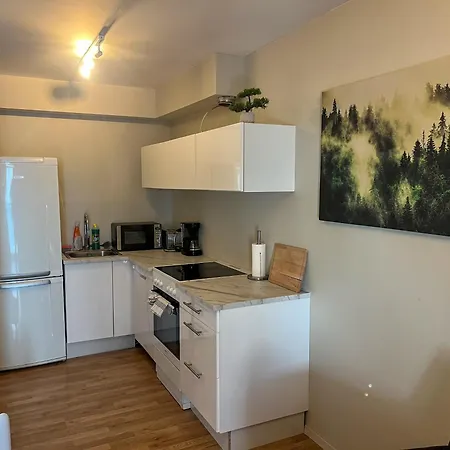 Apartment Parken - Downtown With 2br, Balcony, Private Parking And Elevator Alesund